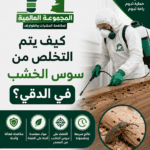 كيف يتم التخلص من سوس الخشب في الدقي؟