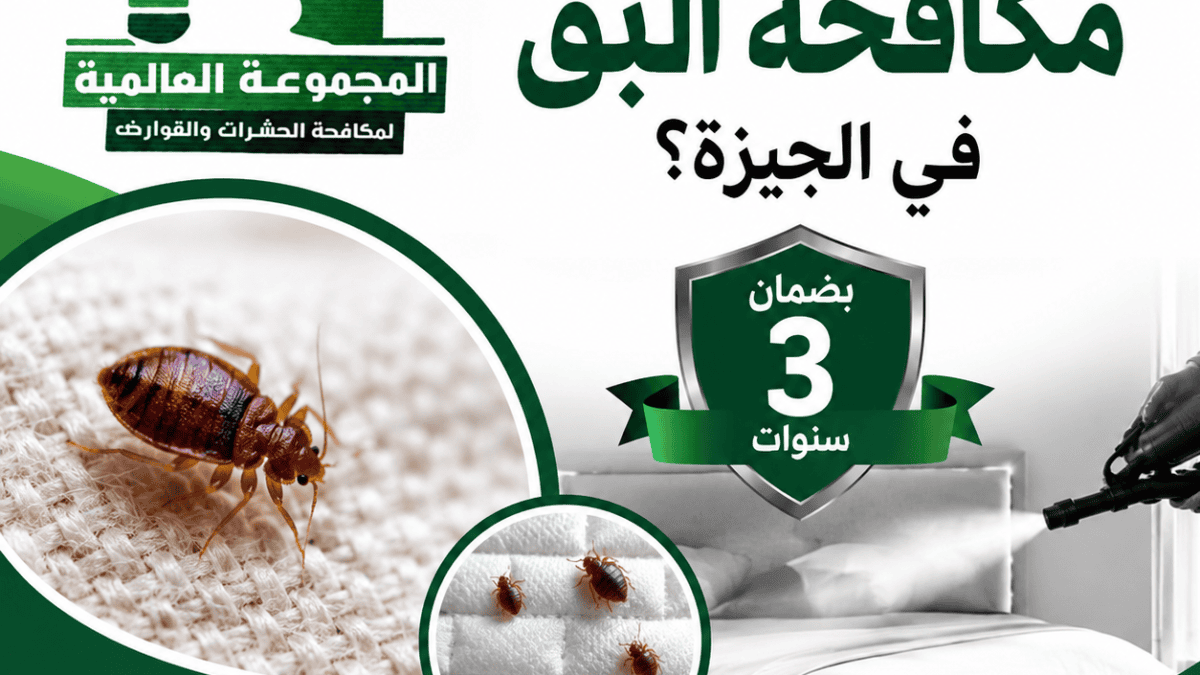 ما أفضل شركة مكافحة البق في الجيزة؟