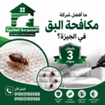 ما أفضل شركة مكافحة البق في الجيزة؟