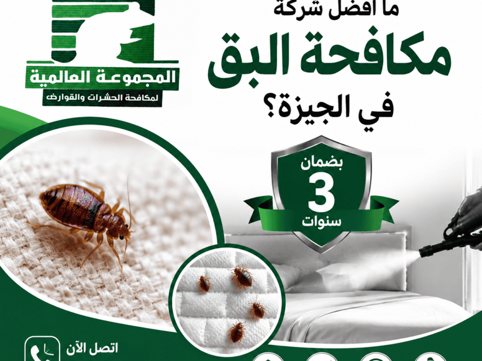 ما أفضل شركة مكافحة البق في الجيزة؟