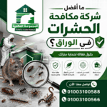 ما أفضل شركة مكافحة الحشرات في الوراق؟