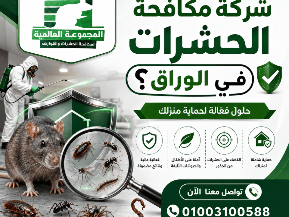 ما أفضل شركة مكافحة الحشرات في الوراق؟