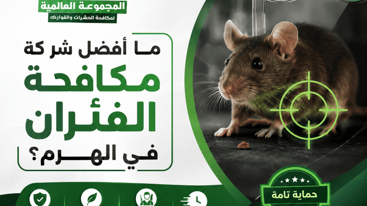 ما أفضل شركة مكافحة الفئران في الهرم؟