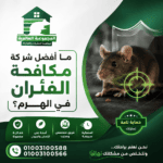 ما أفضل شركة مكافحة الفئران في الهرم؟