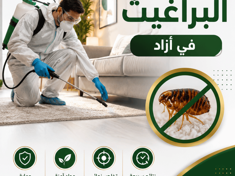 أفضل شركة للتخلص من البراغيث في أزاد