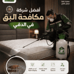 أفضل شركة مكافحة البق في الدقي