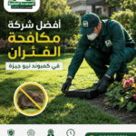 أفضل شركة مكافحة الفئران في كمبوند نيو جيزة