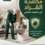أفضل شركة مكافحة القراد في كمبوند مدينتي