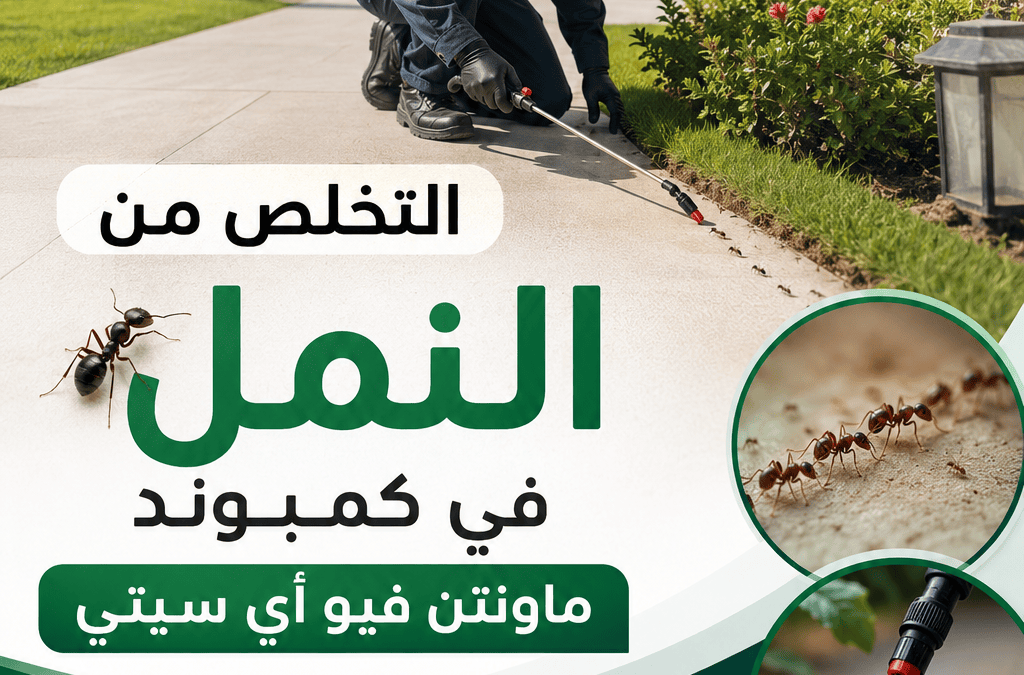التخلص من النمل في كمبوند ماونتن فيو آي سيتي