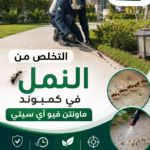 التخلص من النمل في كمبوند ماونتن فيو آي سيتي