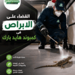 القضاء على الابراص فى كمبوند هايد بارك