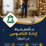 ما أفضل شركة إبادة الناموس في الوراق؟