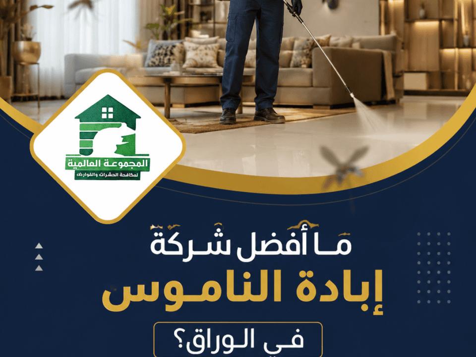 ما أفضل شركة إبادة الناموس في الوراق؟