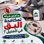 ما أفضل شركة لمكافحة البق في المنيل؟