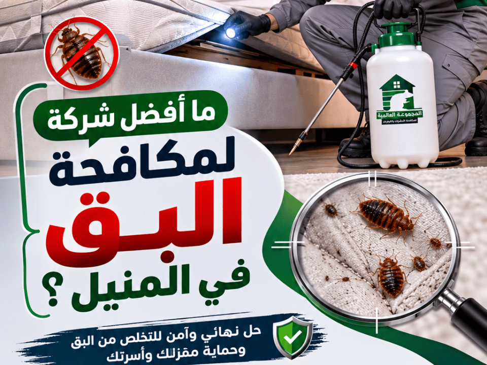 ما أفضل شركة لمكافحة البق في المنيل؟