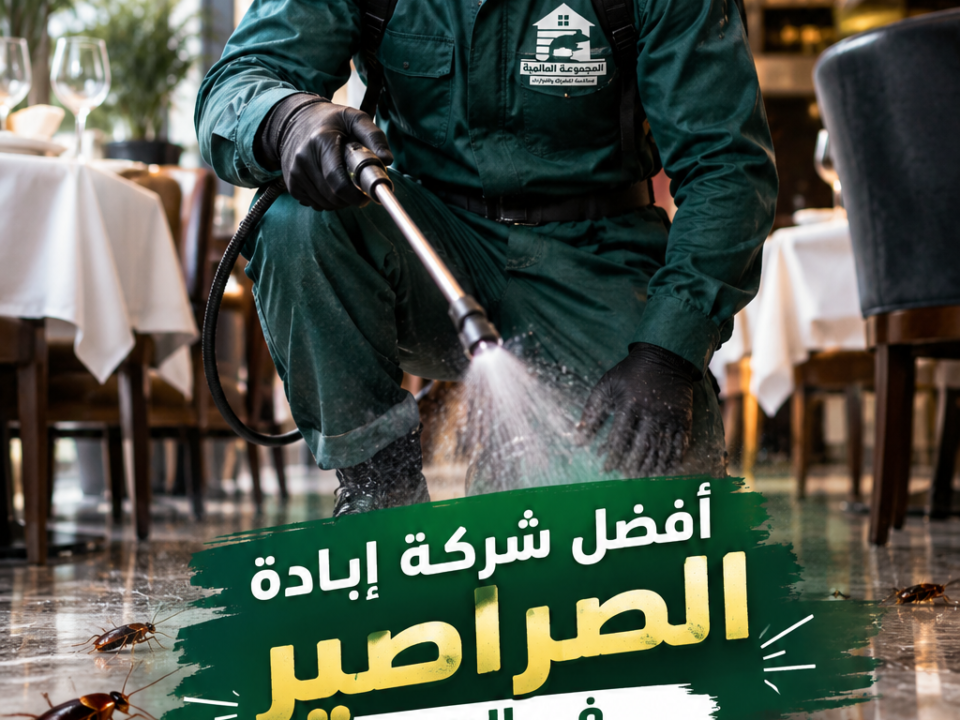 أفضل شركة إبادة الصراصير في الهرم رش ومكافحة الصراصير للفنادق والمطاعم