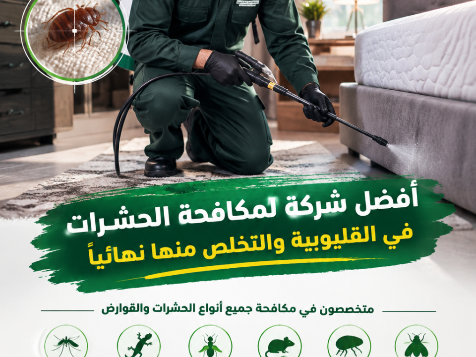 أفضل شركة لمكافحة الحشرات في القليوبية والتخلص منها نهائيًا