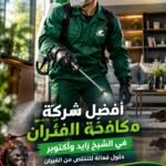 أفضل شركة مكافحة الفئران في الشيخ زايد وأكتوبر حلول فعالة للتخلص من الفيران