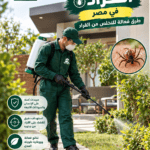 أفضل شركة مكافحة القراد في مصر طرق فعالة للتخلص من القراد