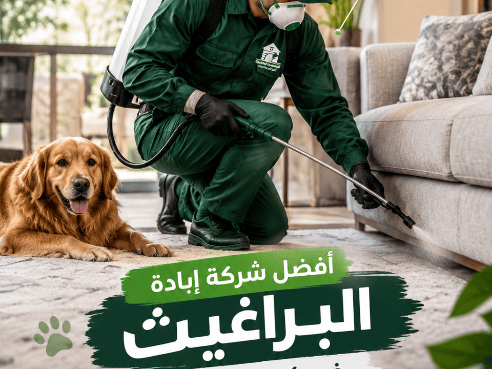 افضل شركة إبادة البراغيث في كمبوند فيليت