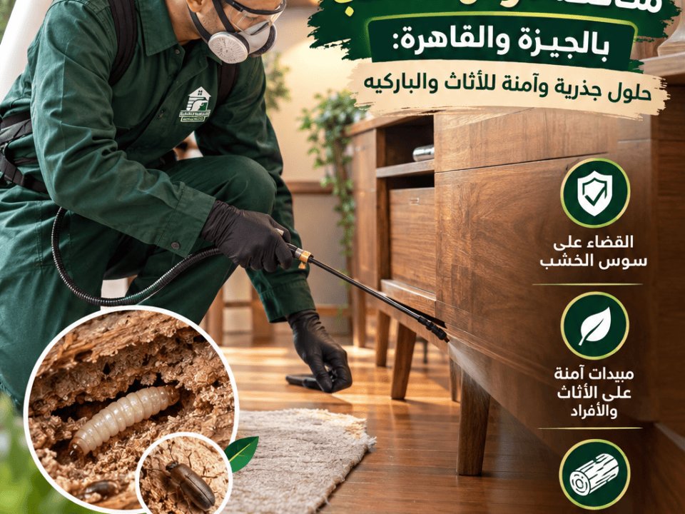 شركة مكافحة سوس الخشب بالجيزة والقاهرة حلول جذرية وآمنة للأثاث والباركيه