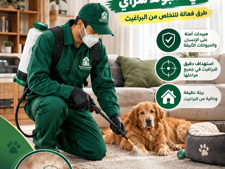 فضل شركة مكافحة البراغيث في كمبوند سراي طرق فعالة للتخلص من البراغيث