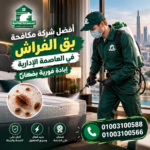أفضل شركة مكافحة بق الفراش في العاصمة الإدارية إبادة فورية بضمان