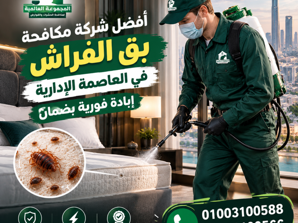 أفضل شركة مكافحة بق الفراش في العاصمة الإدارية إبادة فورية بضمان
