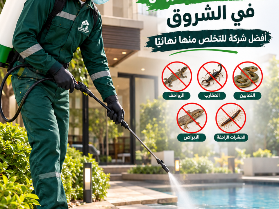 مكافحة الزواحف والأبراص في الشروق أفضل شركة للتخلص منها نهائيًا